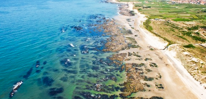 Praia de Cepães