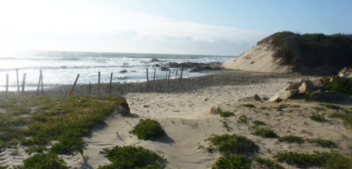 Praia de Rio de Moinhos